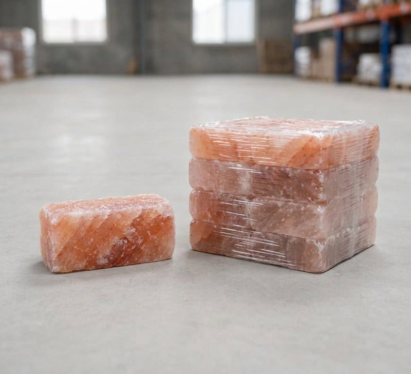 Single Salt Brick vs Bulk Pack