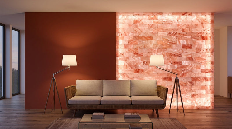Salt Wall vs Accent Wall