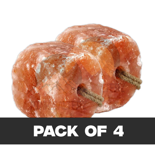 Two pinkish-orange salt blocks with rope handles on a white background, labeled 'Pack of 4'.