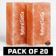 Two blocks of Natural SaltCo Himalayan salt on a white background with 'Pack of 20' text.