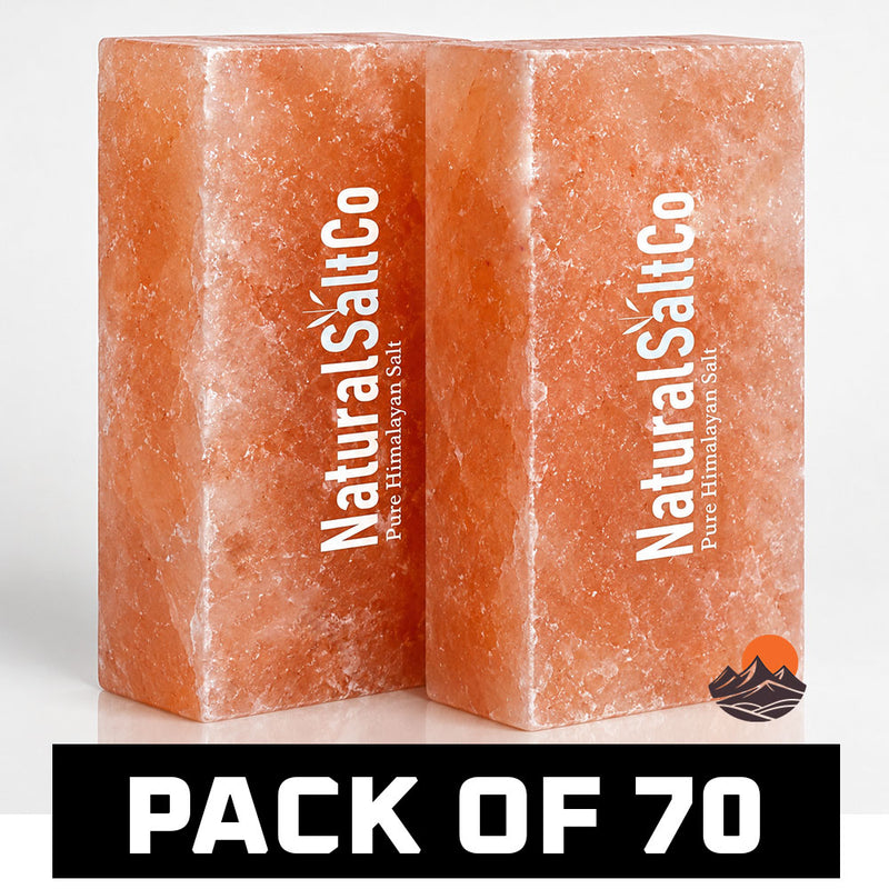 Two blocks of Natural SaltCo Himalayan salt on a white background with text indicating a pack of 70.