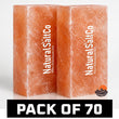 Two blocks of Natural SaltCo Himalayan salt on a white background with text indicating a pack of 70.
