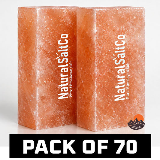 Two blocks of Natural SaltCo Himalayan salt on a white background with text indicating a pack of 70.