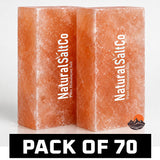 Two blocks of Natural SaltCo Himalayan salt on a white background with text indicating a pack of 70.