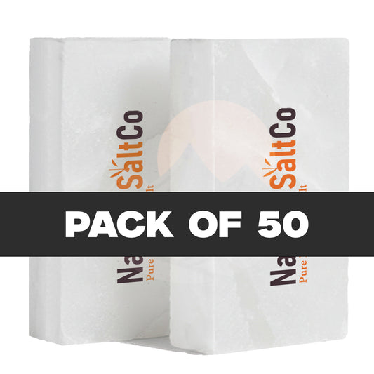 Himalayan White Salt Bricks 8" x 4" x 2" - Pack of 50
