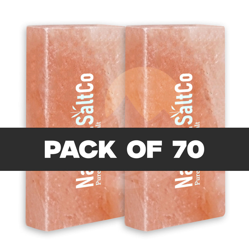 Two pink salt blocks with 'SaltCo' branding and text 'Pack of 70' on a white background.