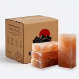 A brown cardboard box labeled for Himalayan salt tiles, shown with three stacked rectangular salt blocks and one single tall salt block in front, all on a light gray studio background.