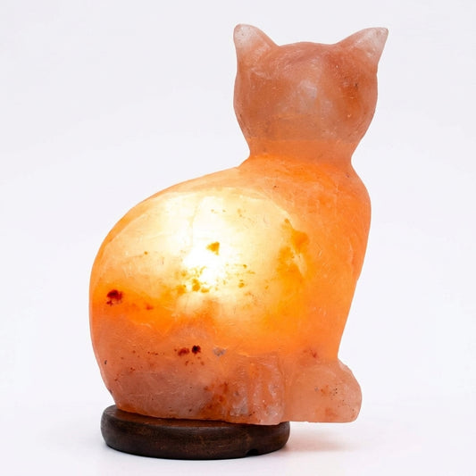 Cat Shape Upright Himalayan Salt Lamp (4–6kg) – Decorative 9 Inch Warm Glow Lamp | NaturalSaltCo