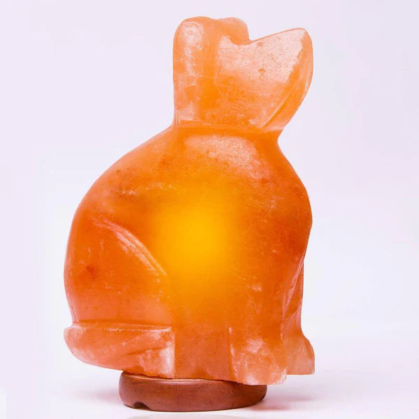 Dog Sitting Up Shape Himalayan Salt Lamp (6–7kg) – Decorative Warm Glow Lamp | NaturalSaltCo