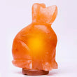Dog Sitting Up Shape Himalayan Salt Lamp (6–7kg) – Decorative Warm Glow Lamp | NaturalSaltCo