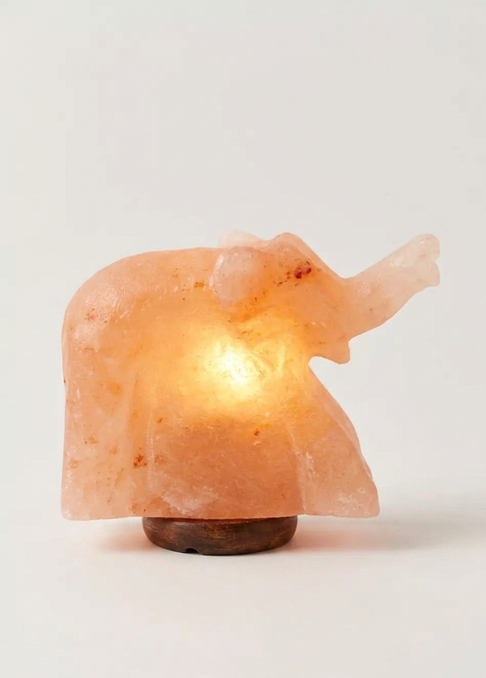 African Elephant Shape Himalayan Salt Lamp (7kg) – Decorative Warm Glow Lamp | NaturalSaltCo