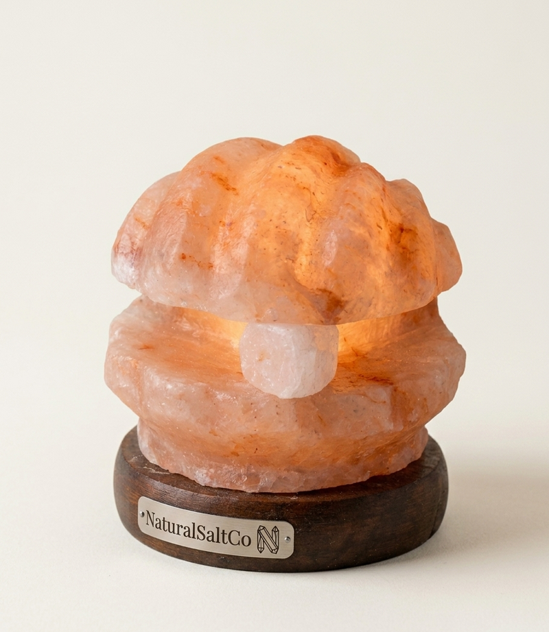 Himalayan Shell with Pearl Salt Lamp (6–7kg) – Decorative Warm Glow | NaturalSaltCo
